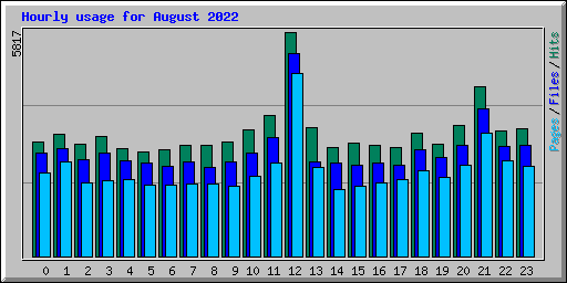 Hourly usage for August 2022