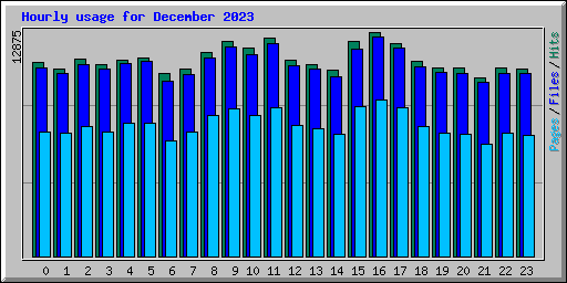 Hourly usage for December 2023