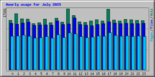Hourly usage for July 2025