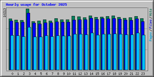Hourly usage for October 2025