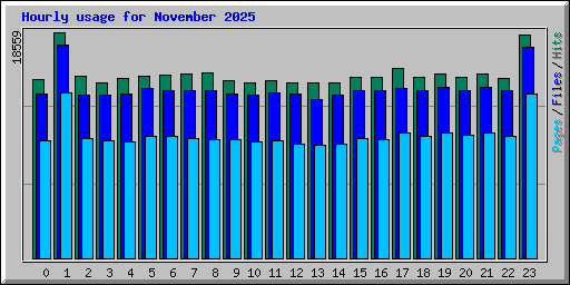 Hourly usage for November 2025