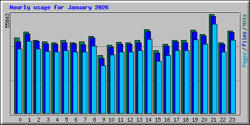 Hourly usage for January 2026