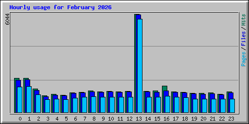 Hourly usage for February 2026