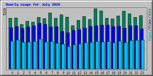 Hourly usage for July 2026