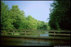 Bridge across a Canal