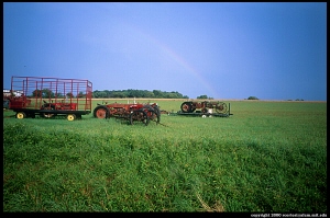 Rainbow near Black Mills NJ