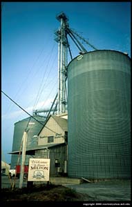 A Grain Silo in Historic Milton